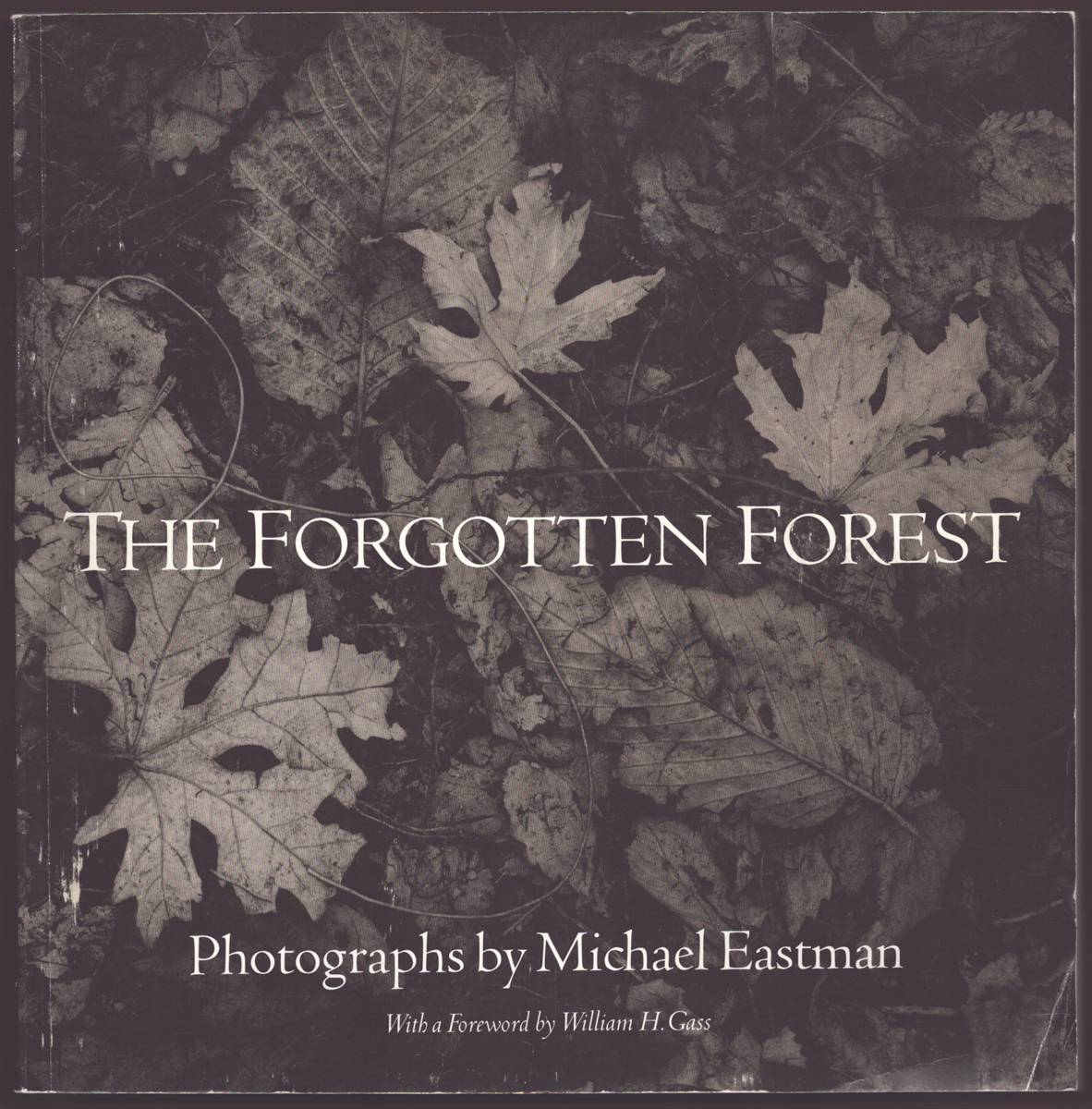 THE FORGOTTEN FOREST