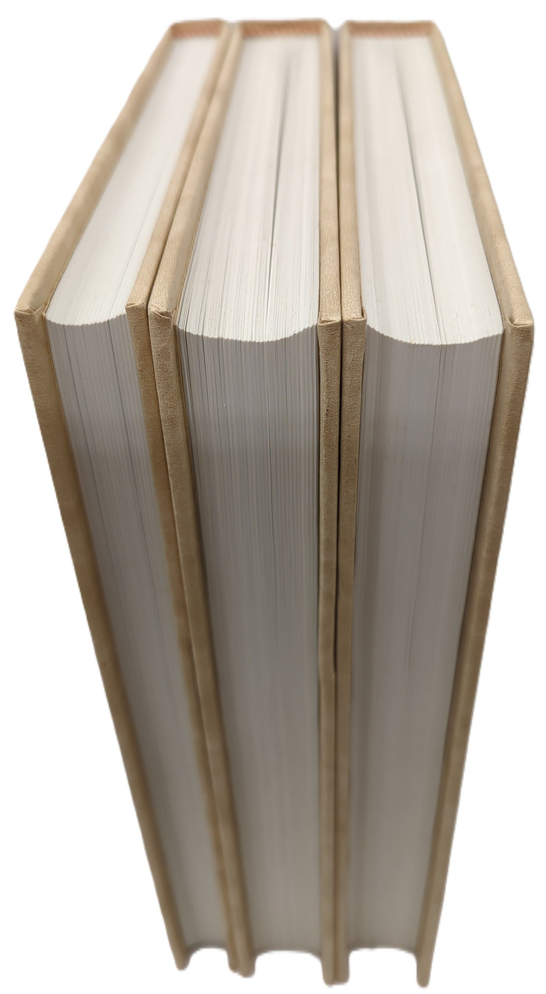 CENTENNIAL HISTORY OF LEMHI COUNTY, IDAHO. (VOLUMES 1, 2 AND 3)
