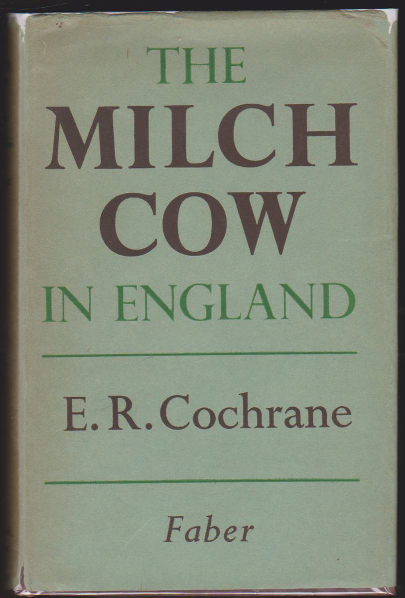 Image for THE MILCH COW IN ENGLAND A Plea for Constructive Breeding