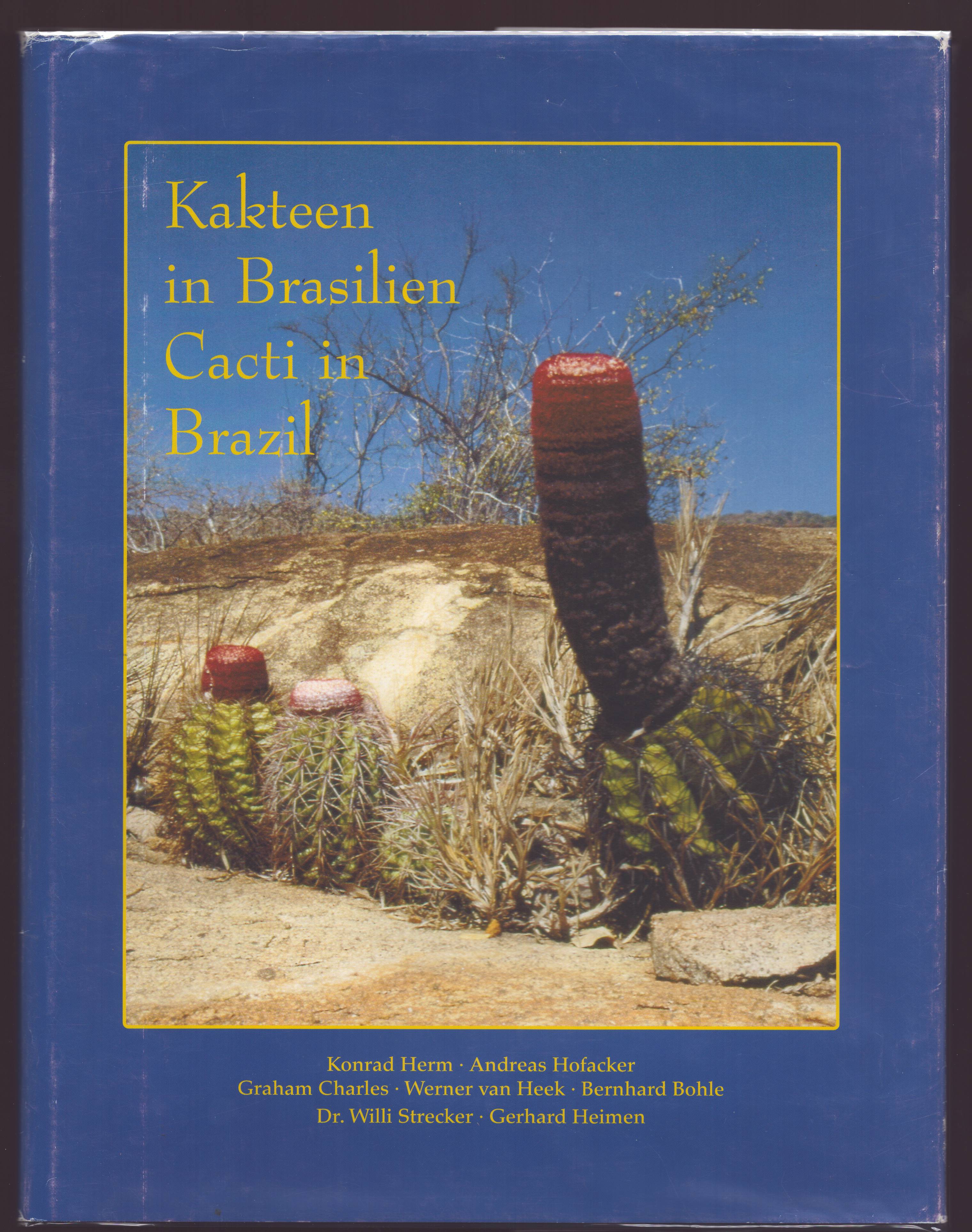 KAKTEEN IN BRASILIEN CACTI IN BRAZIL