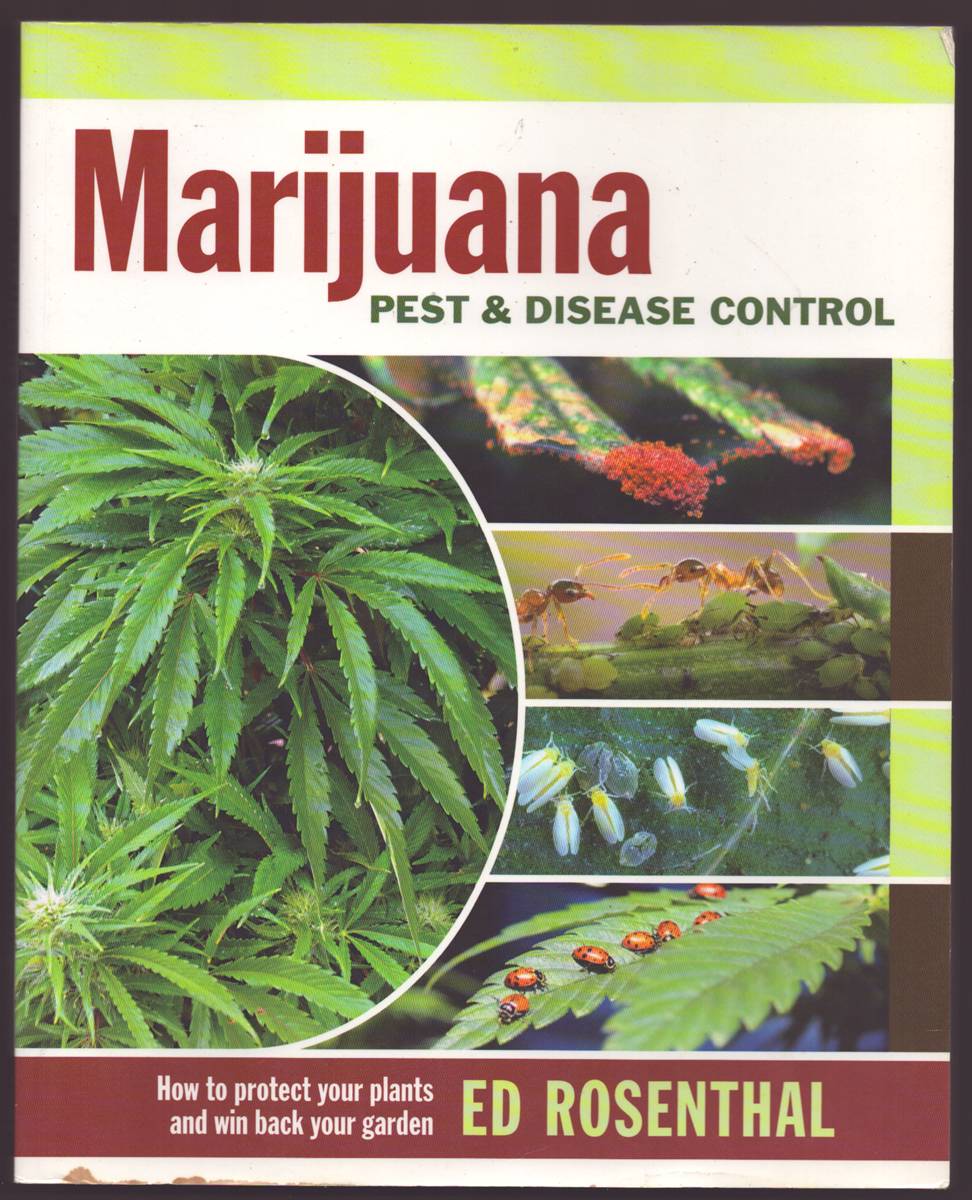 MARIJUANA PEST AND DISEASE CONTROL How to Protect Your Plants and Win Back Your Garden