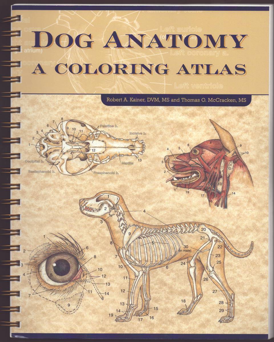 DOG ANATOMY A Coloring Atlas