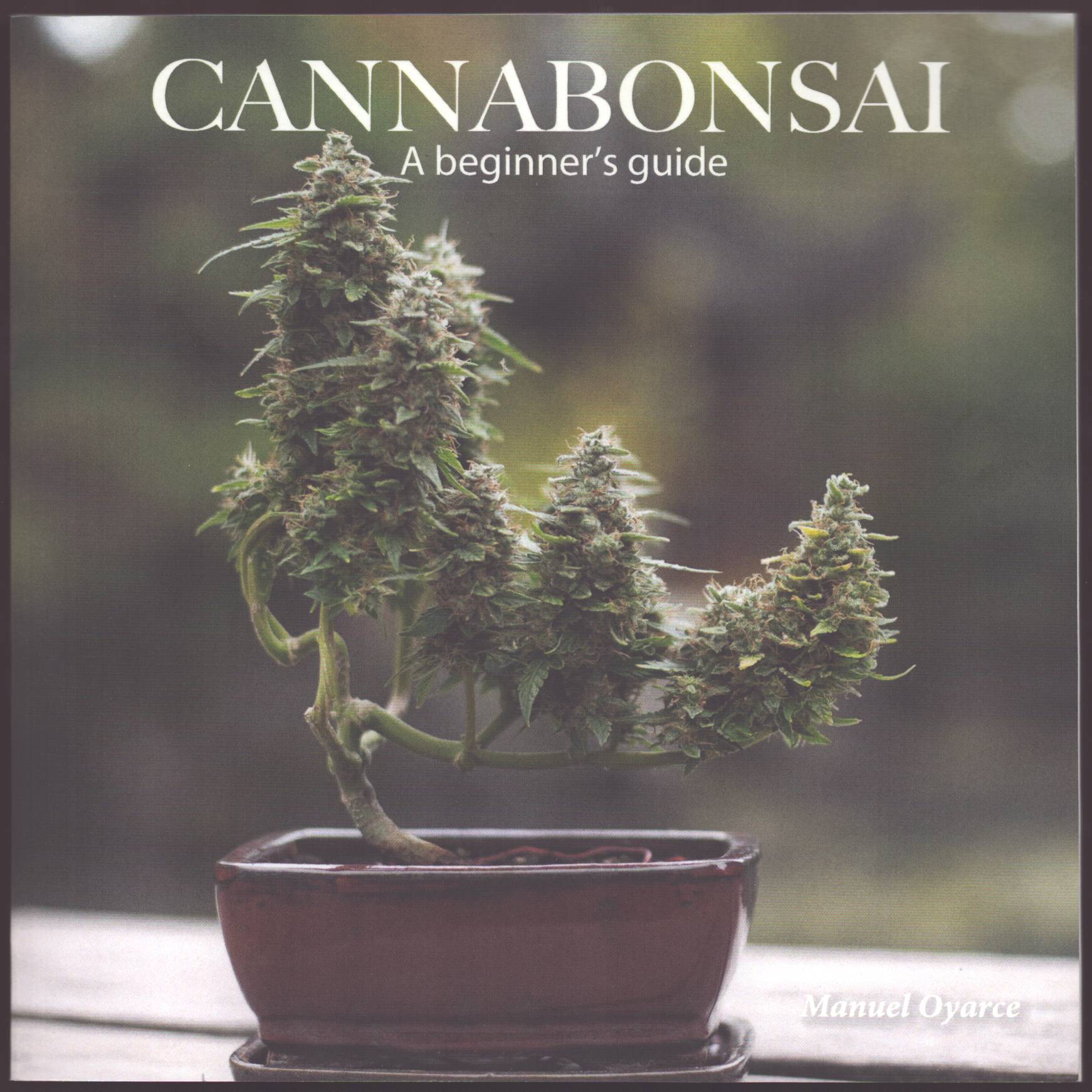 CANNABONSAI A Beginners Guide