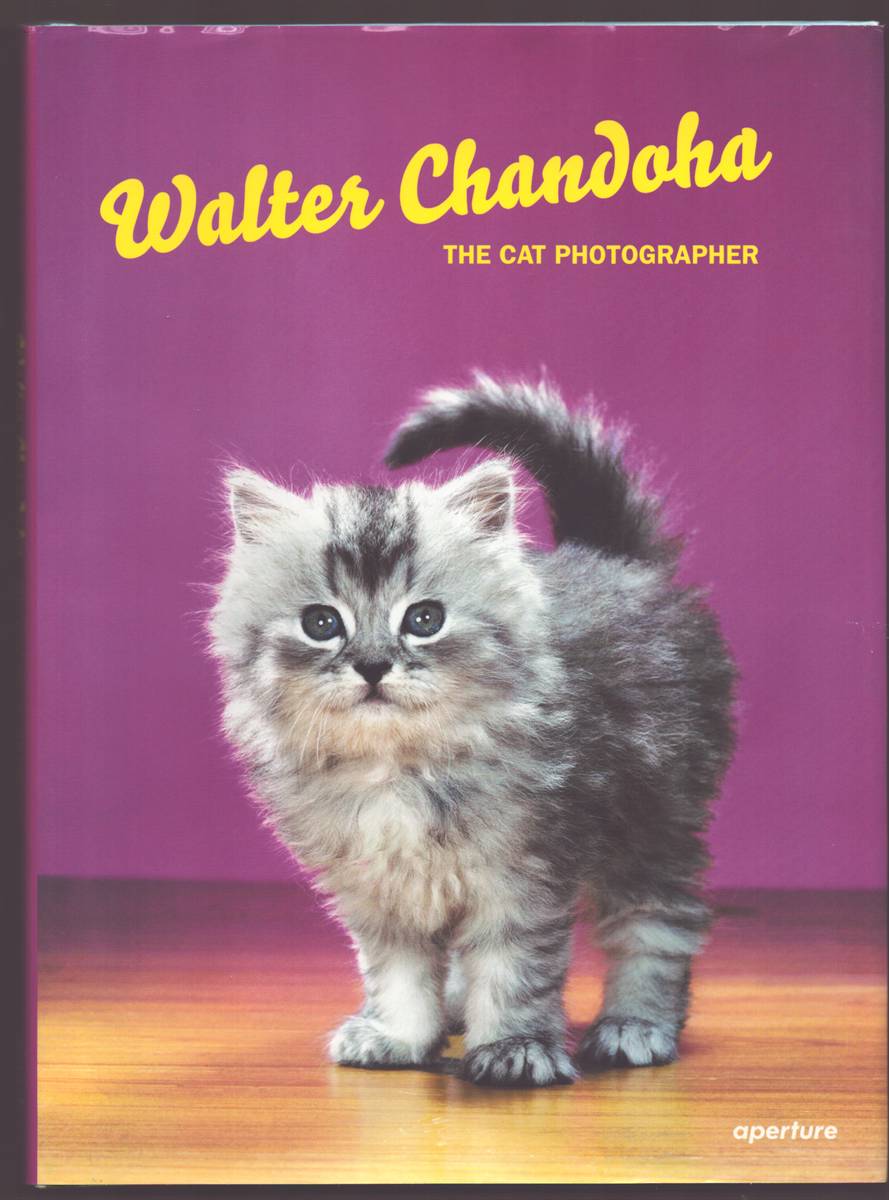 WALTER CHANDOHA The Cat Photographer