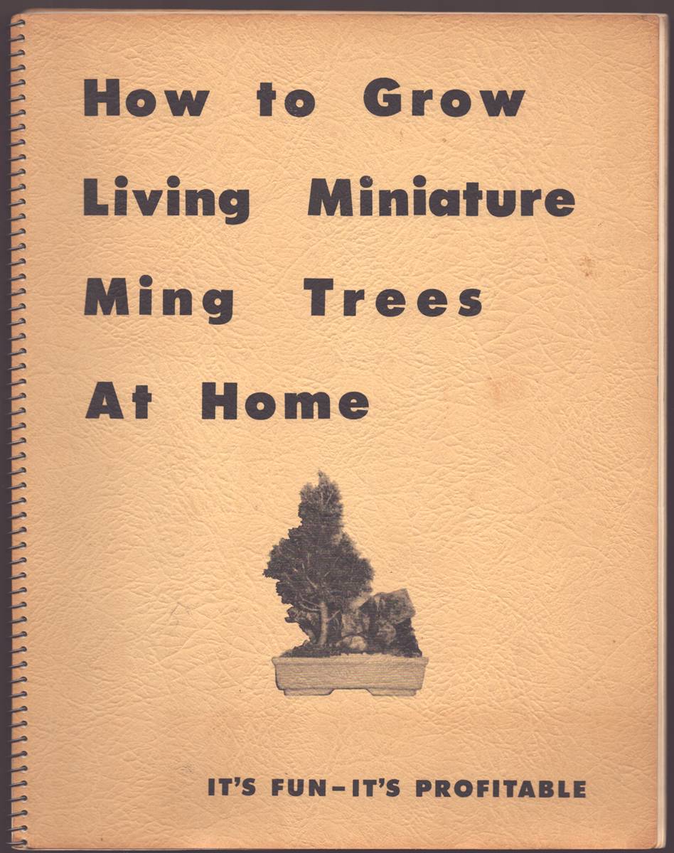 HOW TO GROW AND CULTIVATE MINIATURE LIVING TREES