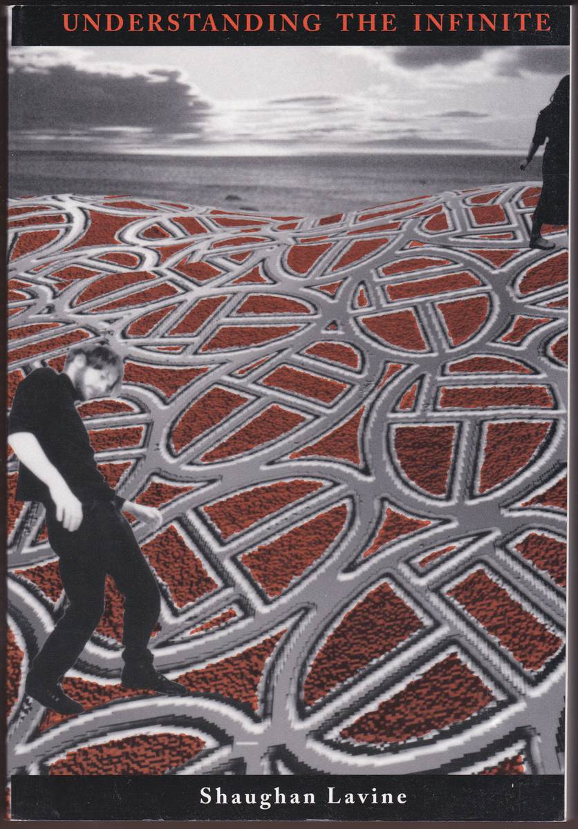 UNDERSTANDING THE INFINITE
