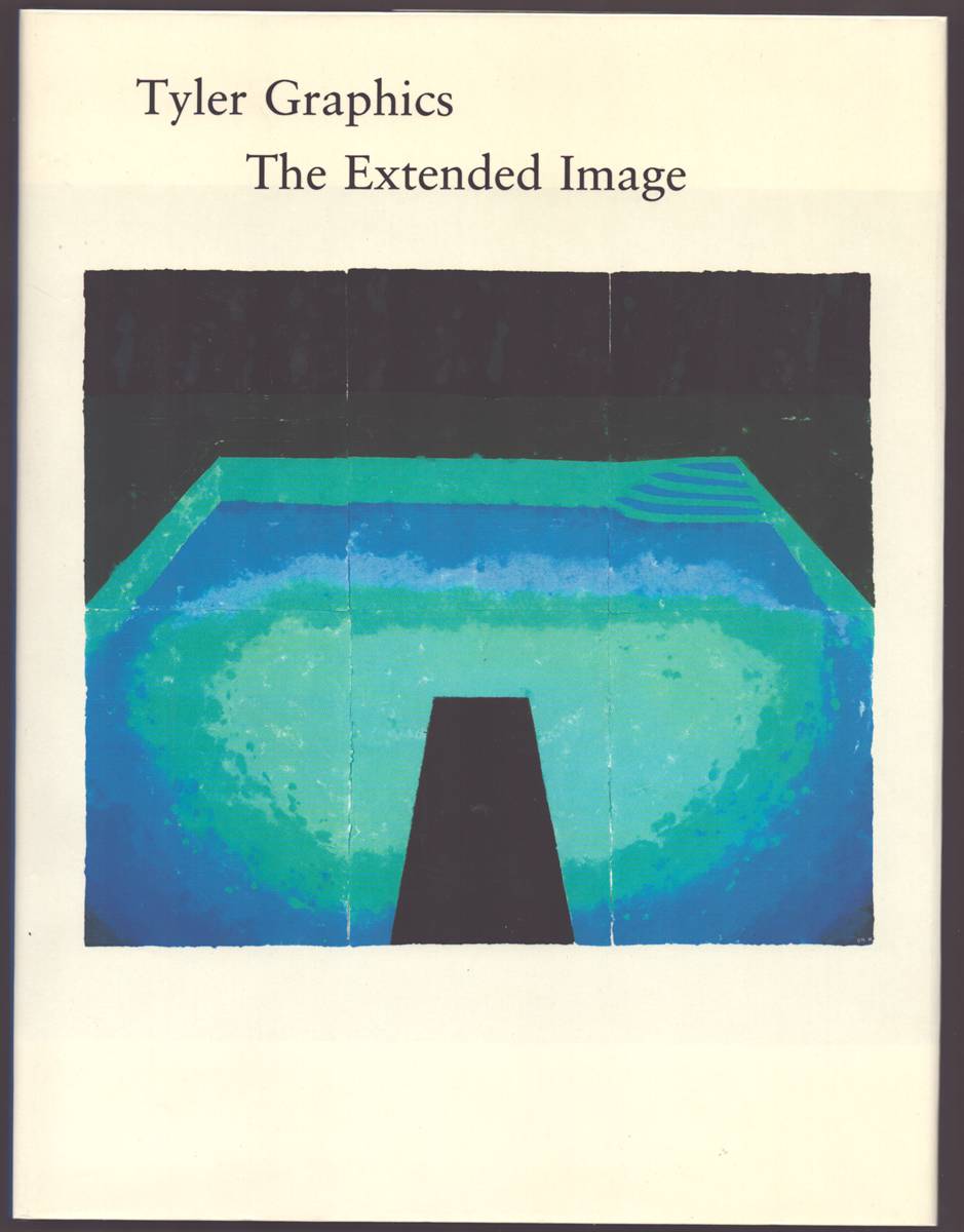 Image for TYLER GRAPHICS THE EXTENDED IMAGE TYLER GRAPHICS THE EXTENDED IMAGE