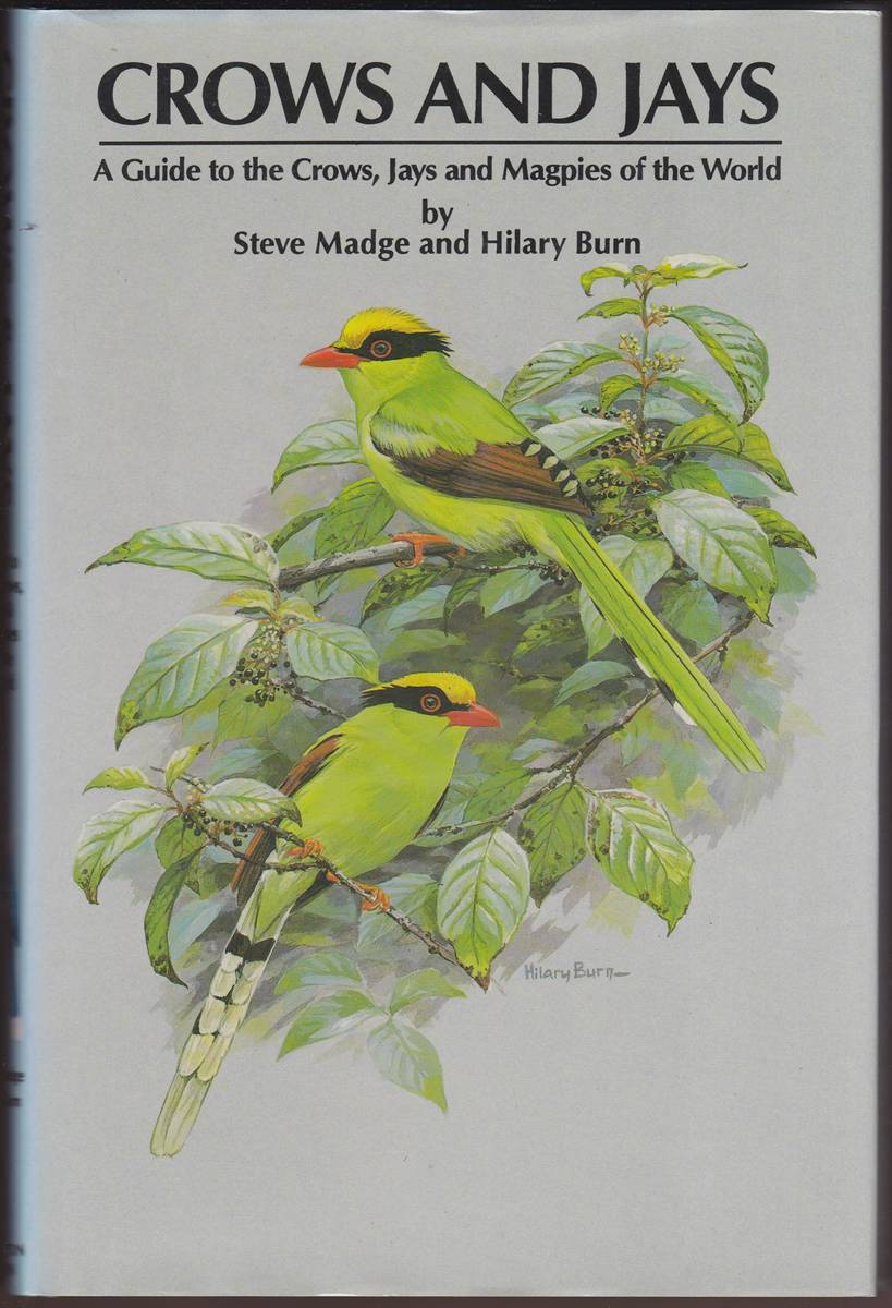 CROWS AND JAYS A Guide to the Crows, Jays and Magpies of the World