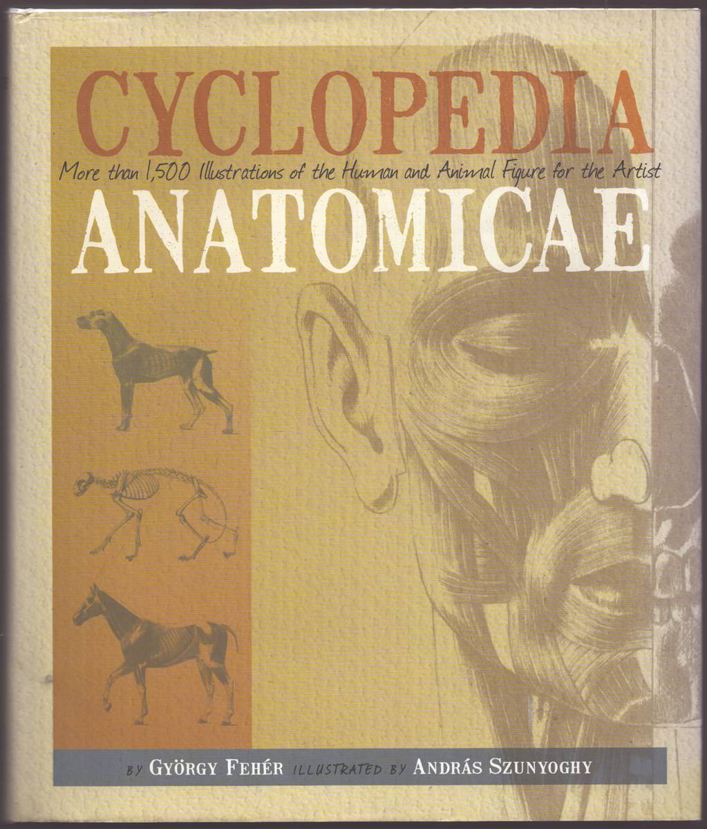 Image for CYCLOPEDIA ANATOMICAE More the 1,500 Illustrations of the Human and Animal Figure for the Artist CYCLOPEDIA ANATOMICAE More the 1,500 Illustrations of the Human and Animal Figure for the Artist