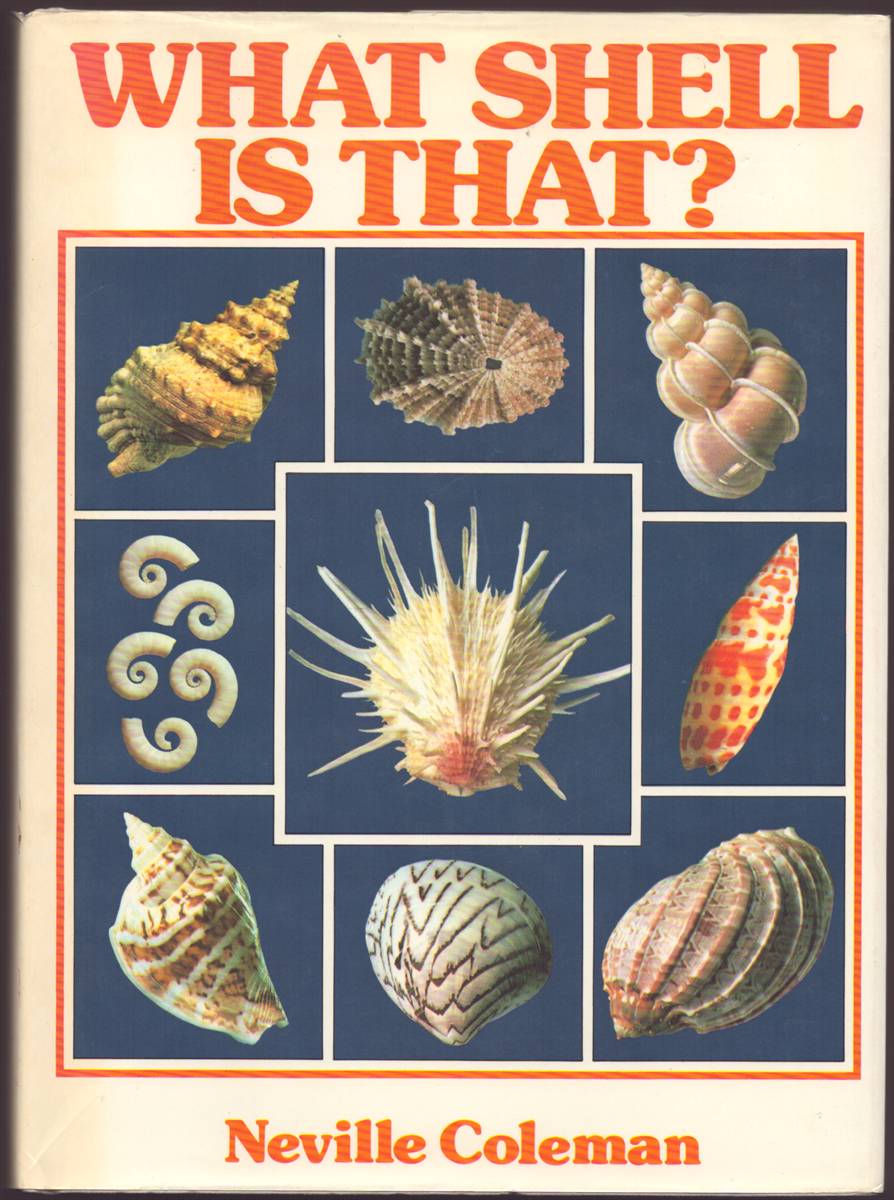 WHAT SHELL IS THAT