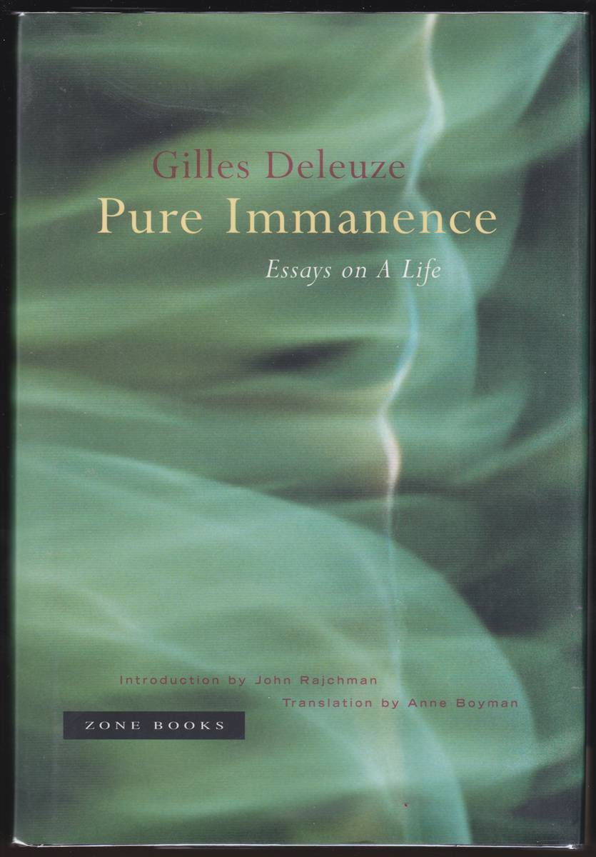 Image for PURE IMMANENCE Essays on a Life PURE IMMANENCE Essays on a Life