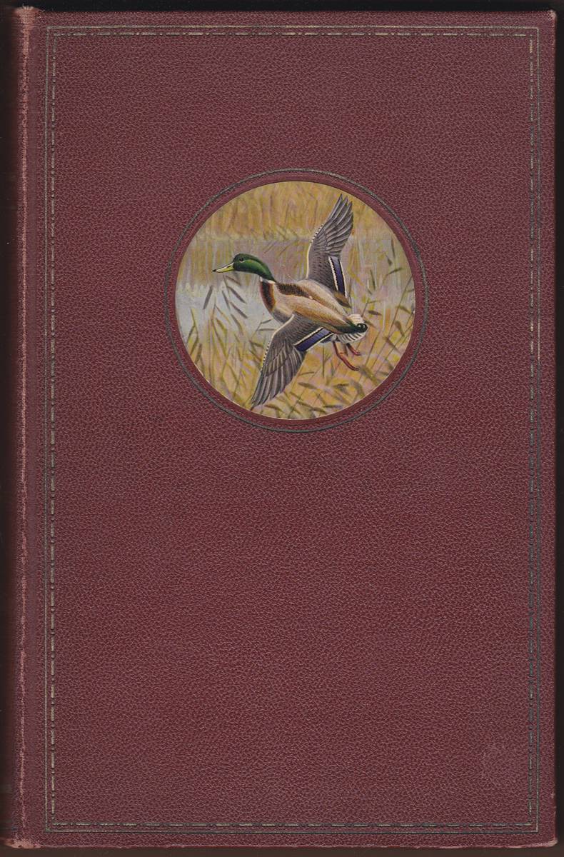 BLOOD LINES Tales of Hunting and Fishing