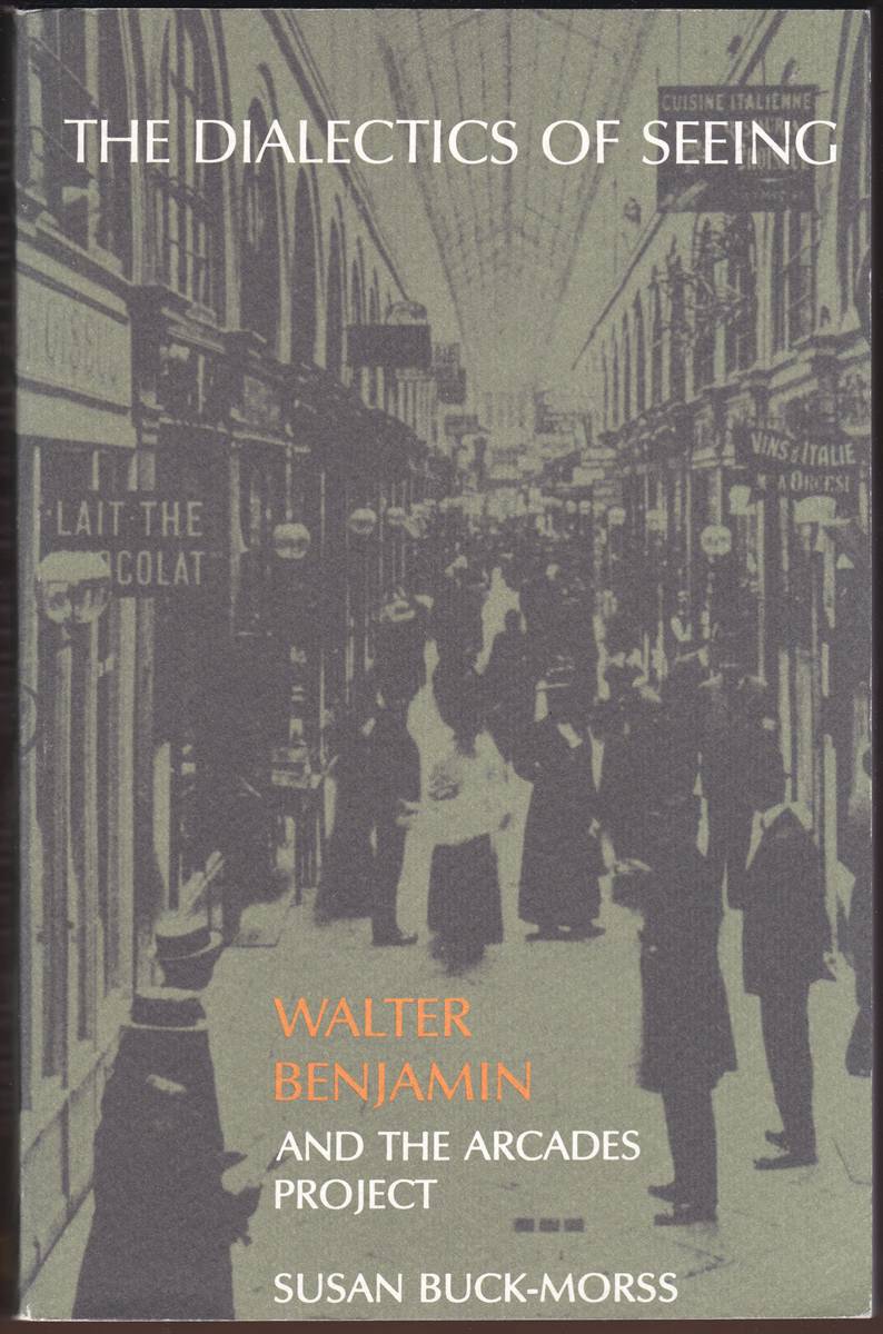 THE DIALECTICS OF SEEING Walter Benjamin and the Arcades Project