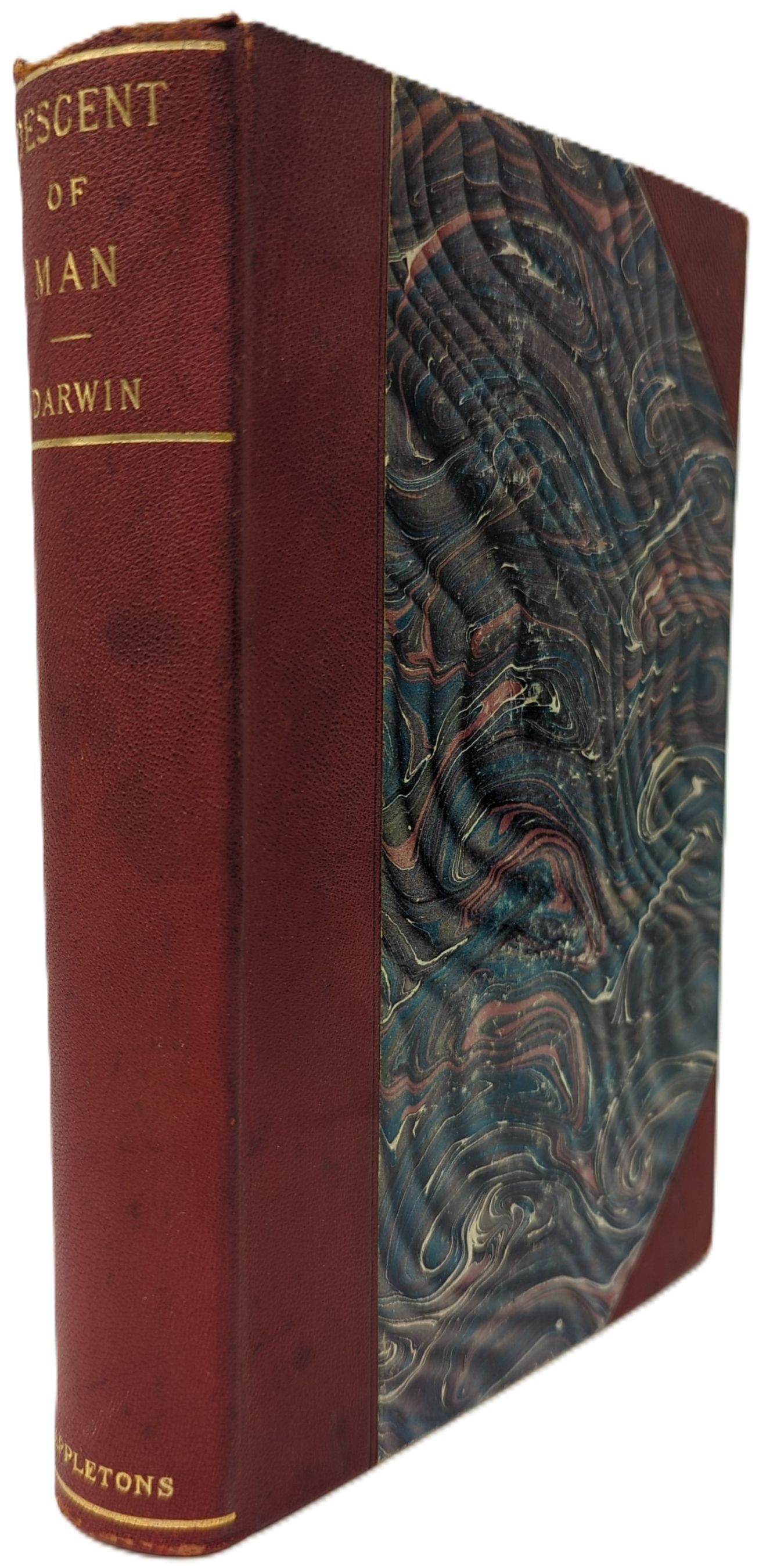 THE DESCENT OF MAN, AND SELECTION IN RELATION TO SEX (AUTHORIZED EDITION)
