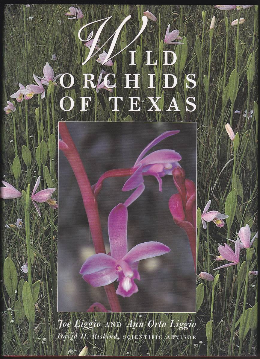 Image for WILD ORCHIDS OF TEXAS WILD ORCHIDS OF TEXAS