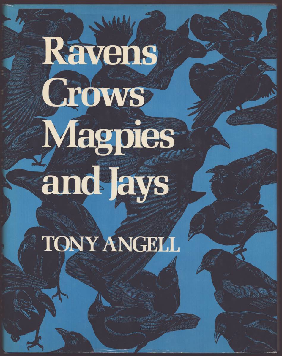 RAVENS, CROWS, MAGPIES, AND JAYS