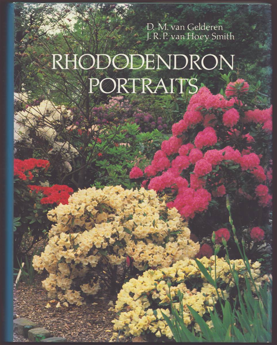 RHODODENDRON PORTRAITS