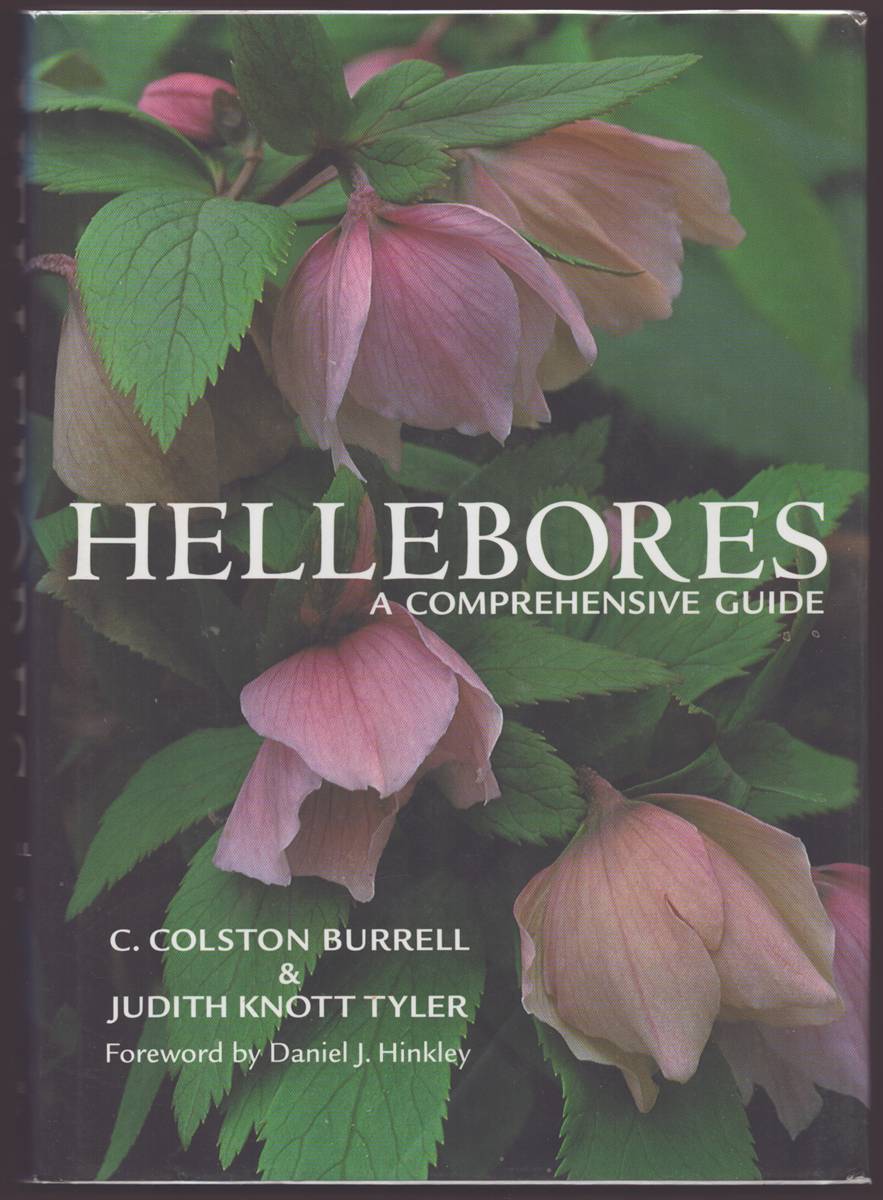 Image for HELLEBORES A Comprehensive Guide HELLEBORES A Comprehensive Guide
