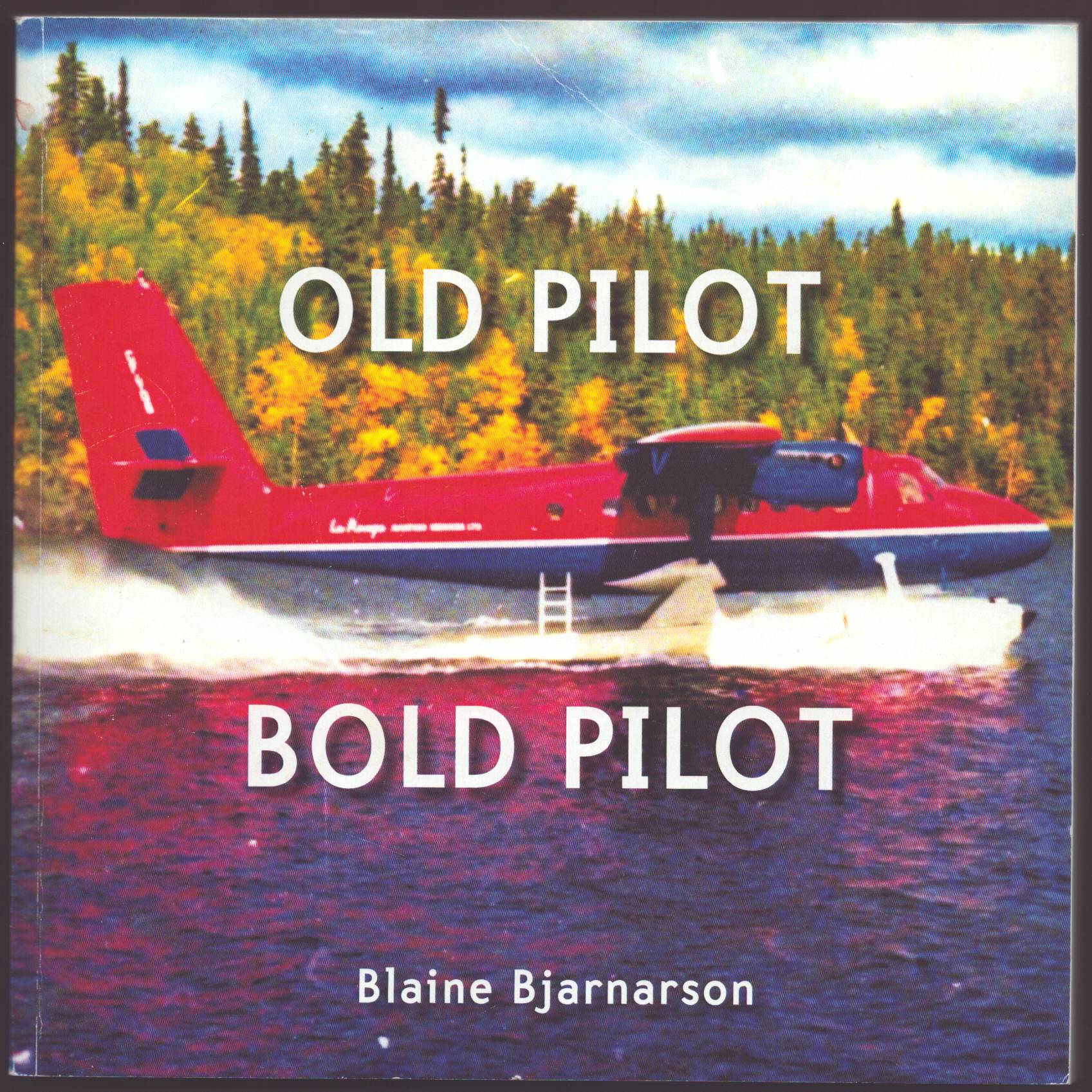 Image for OLD PILOT, BOLD PILOT An Airborne Soldier of Fortune OLD PILOT, BOLD PILOT An Airborne Soldier of Fortune