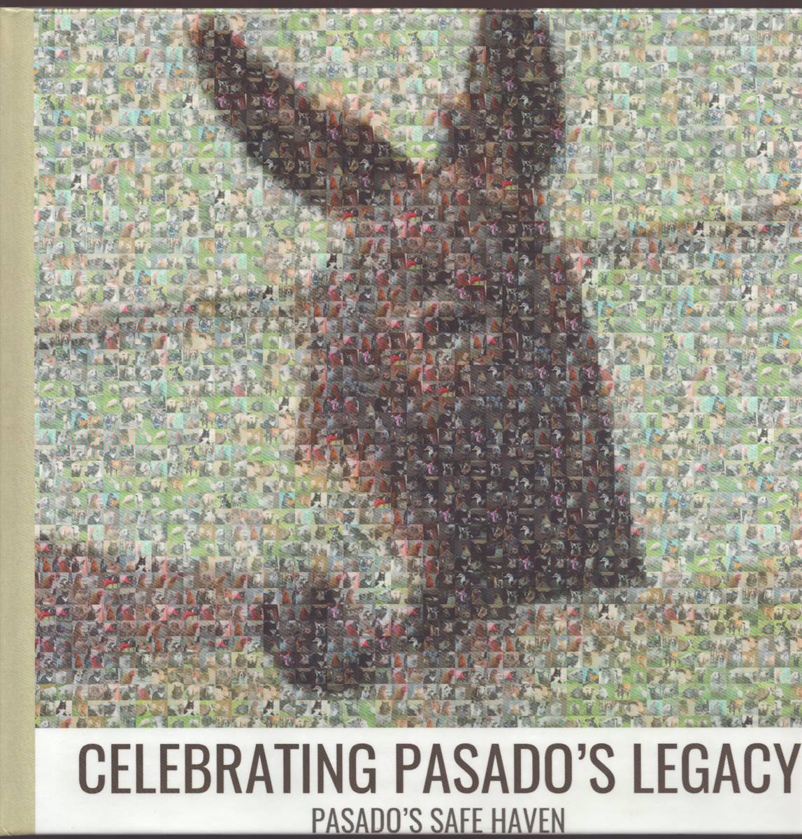 CELEBRATING PASADO'S LEGACY Pasado's Safe Haven