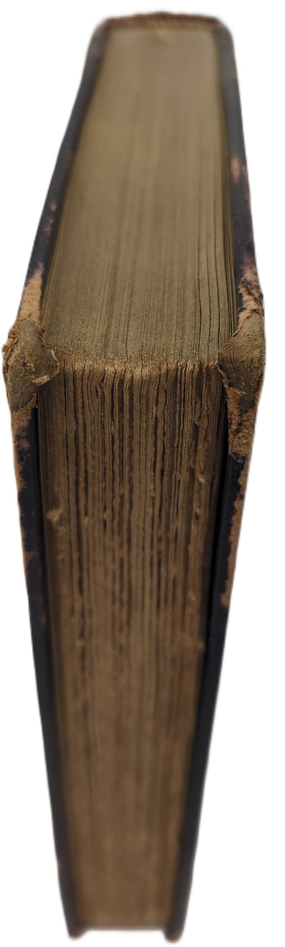 LEONARDO DA VINCI'S NOTE-BOOKS Arranged and Rendered Into English with Introdutions