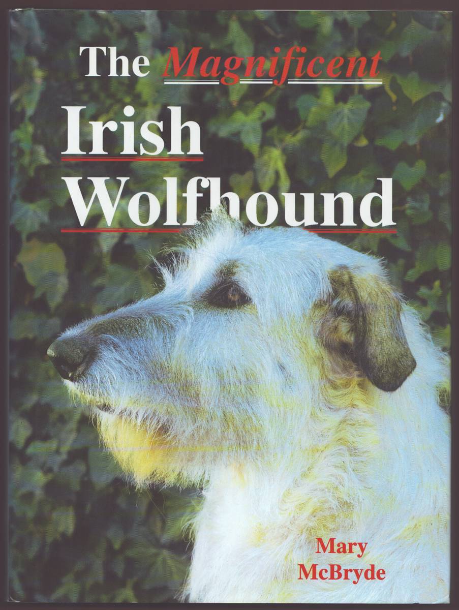 Image for THE MAGNIFICENT IRISH WOLFHOUND THE MAGNIFICENT IRISH WOLFHOUND