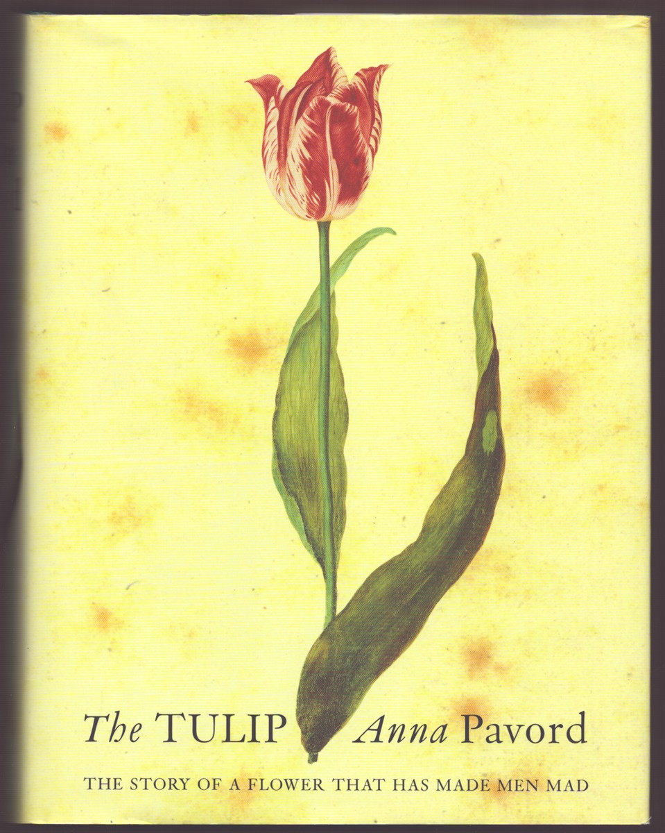 THE TULIP The Story of the Flower That Has Made Men Mad