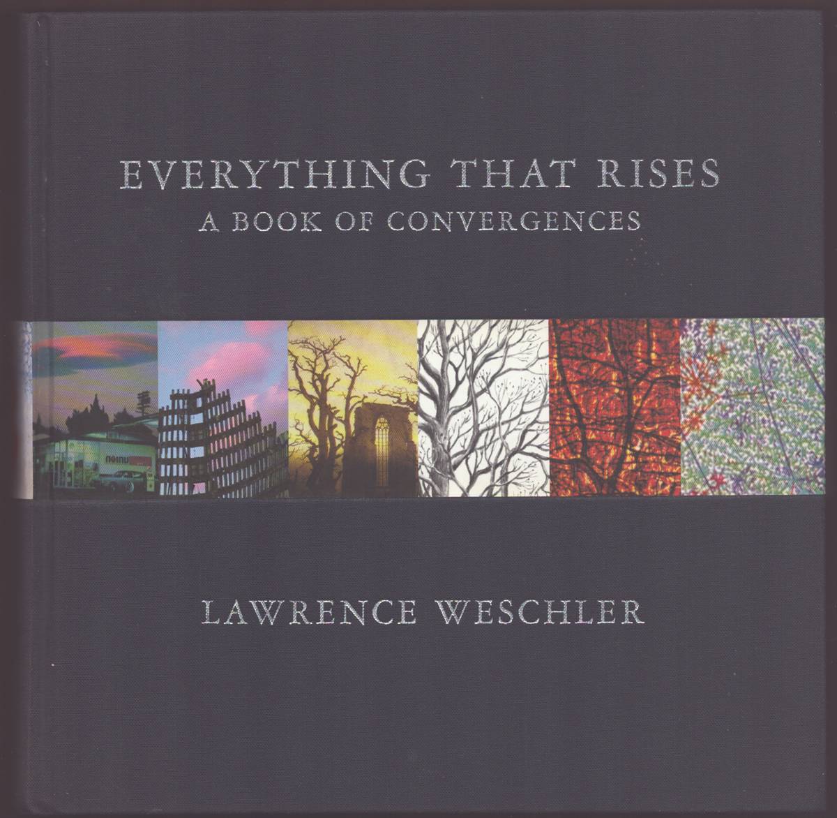 EVERYTHING THAT RISES A Book of Convergences