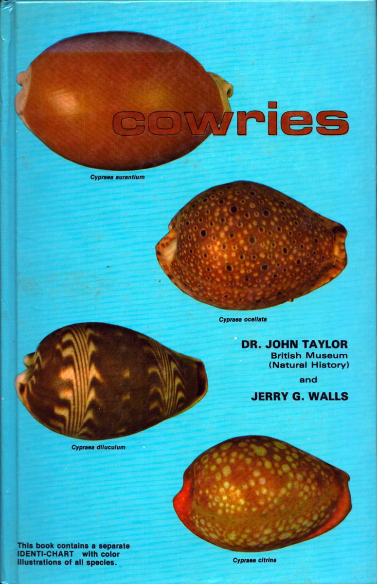 Image for COWRIES COWRIES