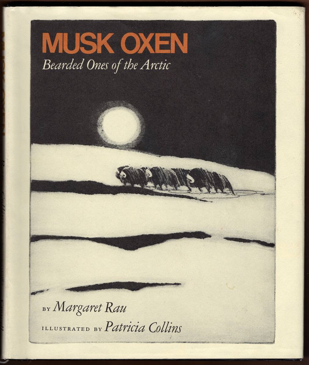 Image for MUSK OXEN. Bearded Ones of the Arctic MUSK OXEN. Bearded Ones of the Arctic