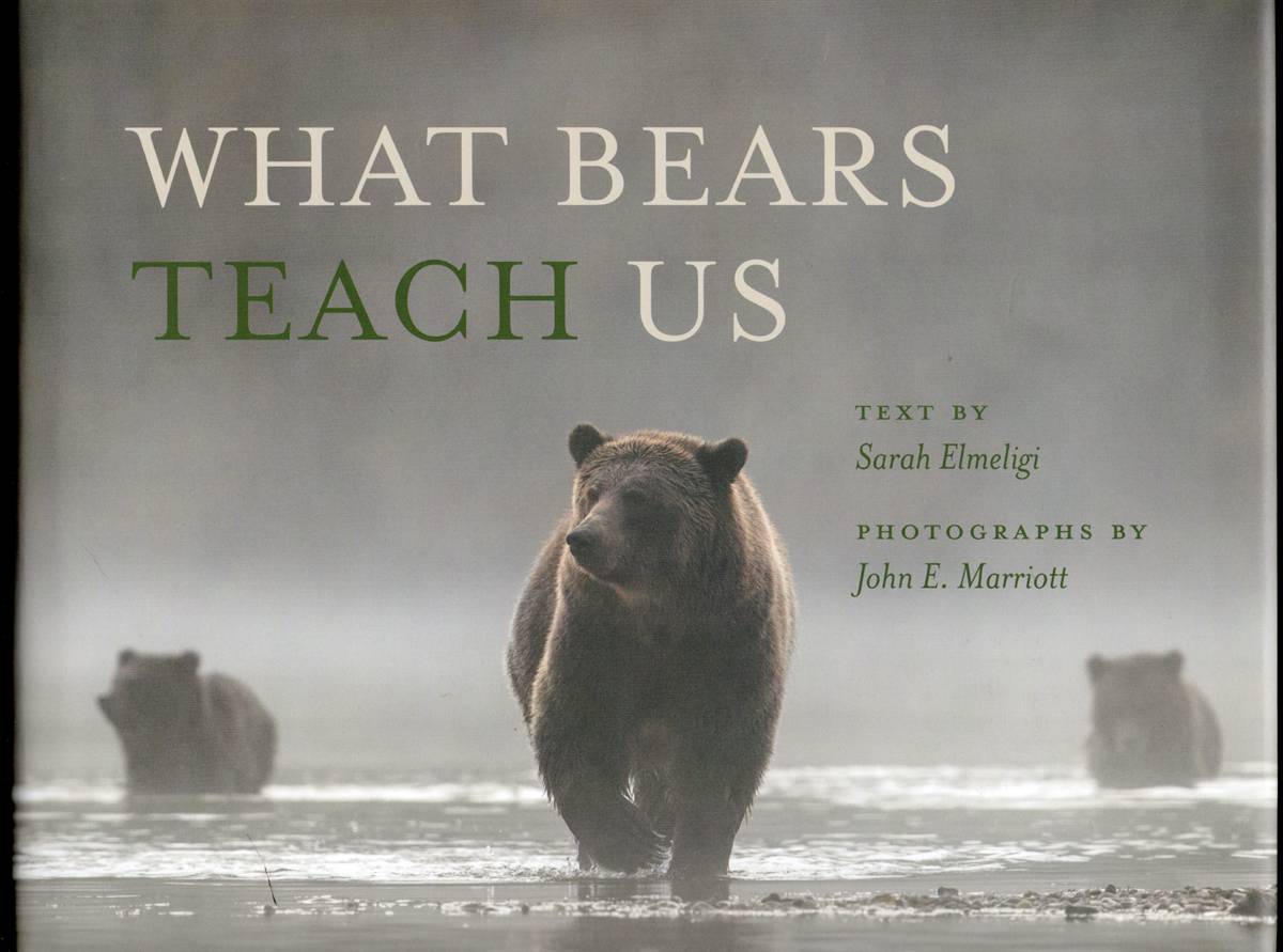 Image for WHAT BEARS TEACH US WHAT BEARS TEACH US